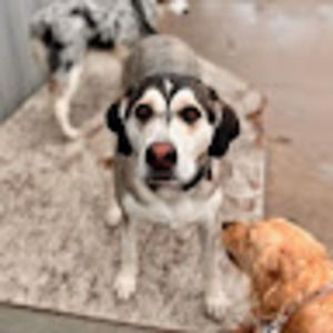 Meet your Posher, Kristine